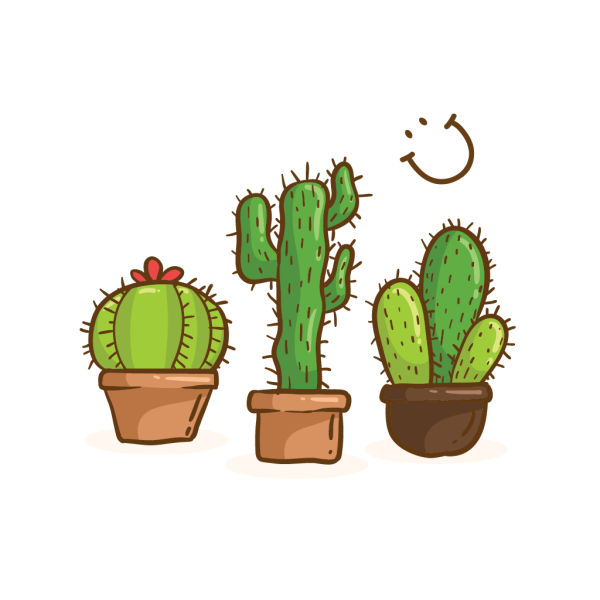 Кактус без фона