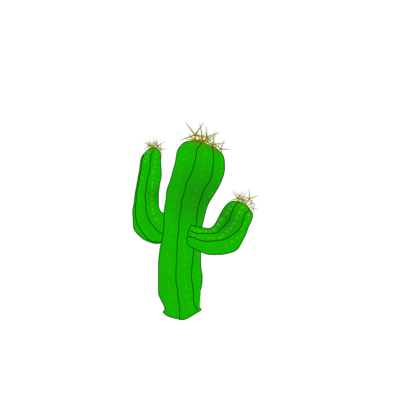 Кактус на белом фоне