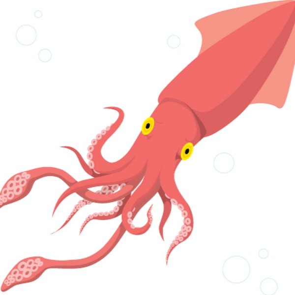 Кальмар рисунок для детей
