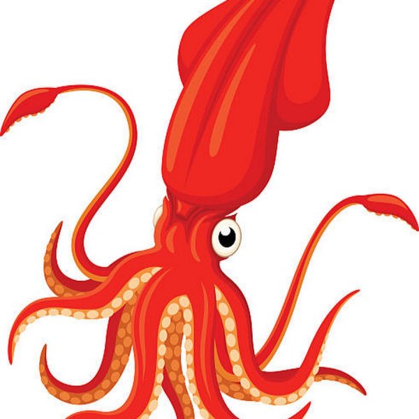Кальмар мультяшный