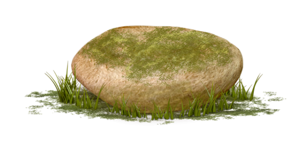 Камень на белом фоне