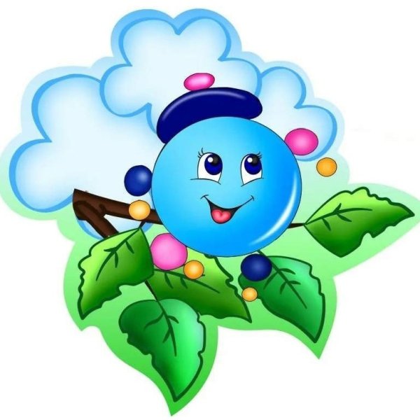 Группа Капитошка