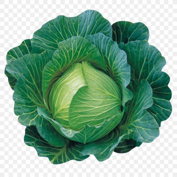 Капуста комацуна Грин