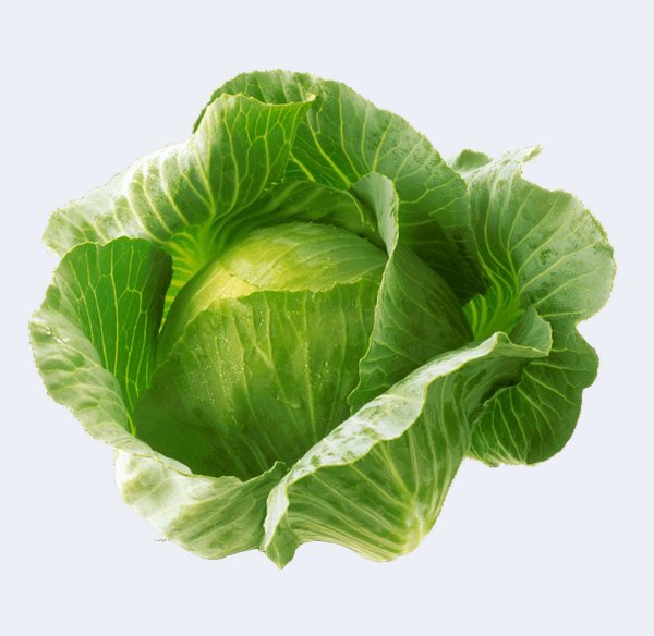 Капуста для фотошопа