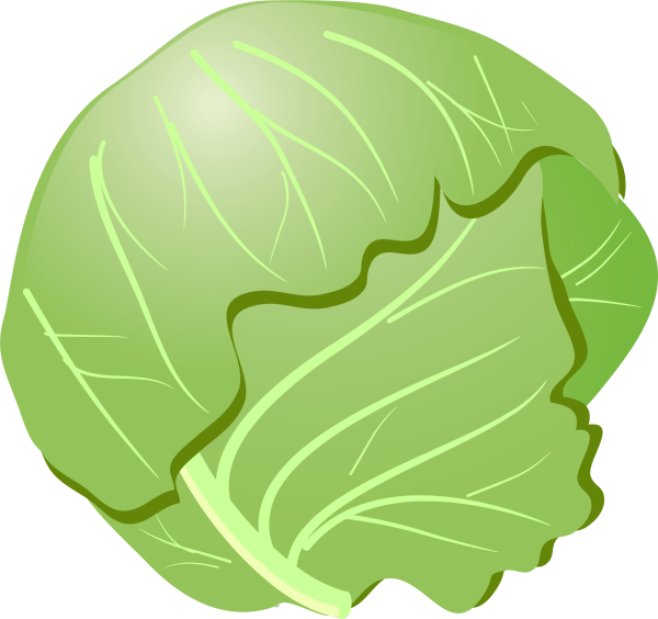 Капуста картинки для детей цветные