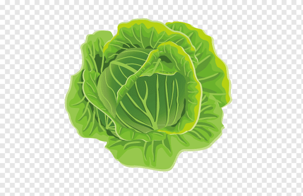 Капуста мультяшное
