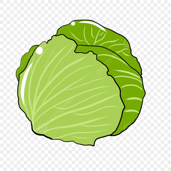 Капуста векторный клипарт