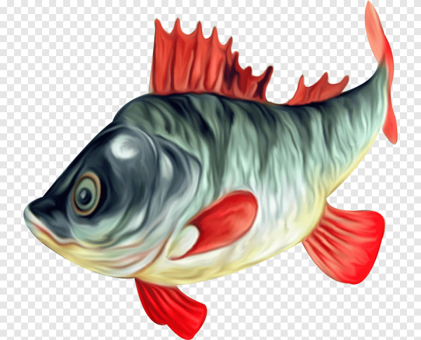 Мультяшные рыбки Пресноводные