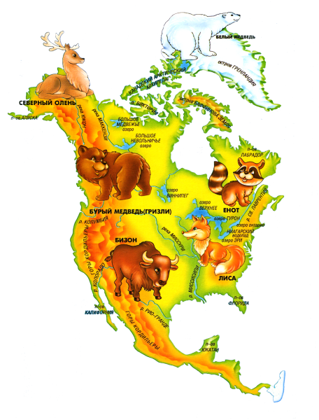 Материк Северная Америка для дошкольников