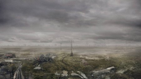 Сталкер 2 поле