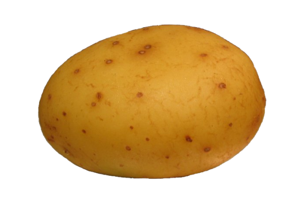 Картошка для детей