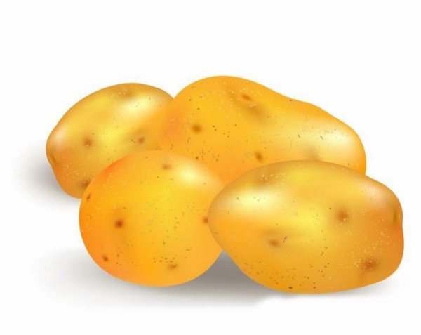 Картошка на прозрачном фоне