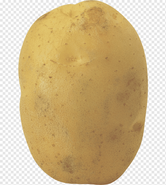 Картофель один