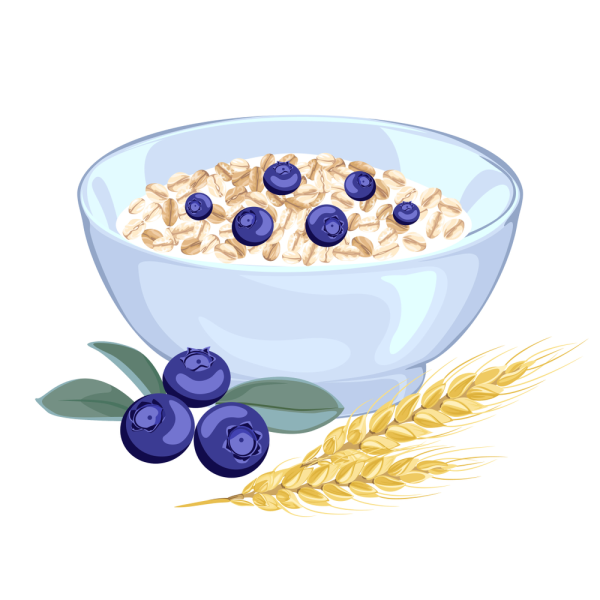 Тарелка с кашей вектор