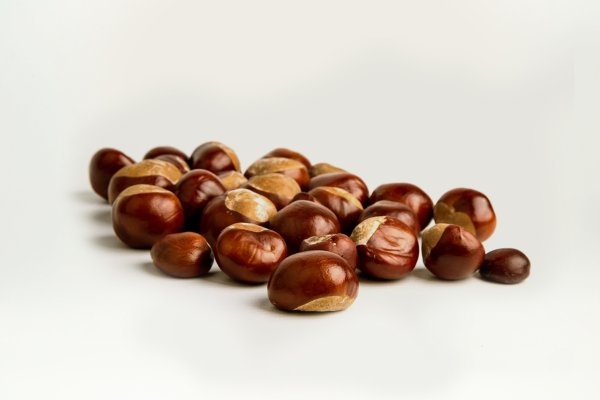 Каштан на белом фоне