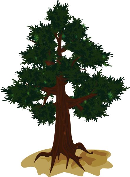 Изображение дерева для детей