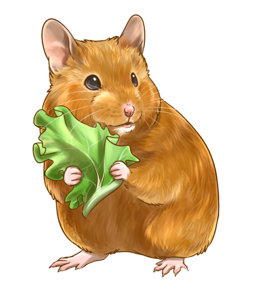 Хомячок для детей