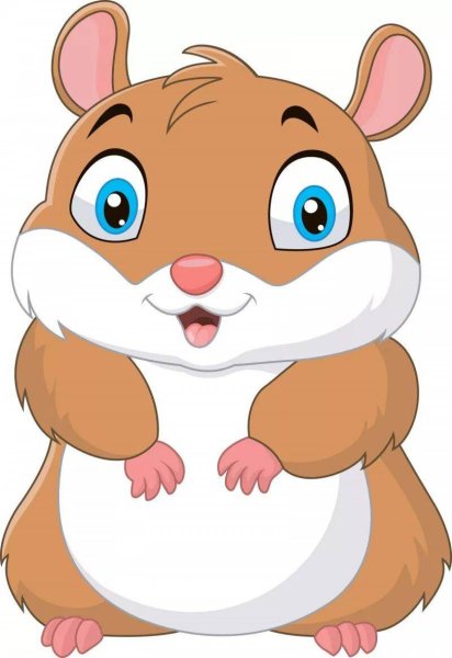 Хомяк на белом фоне мультяшный