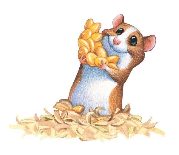 Сказочный хомячок