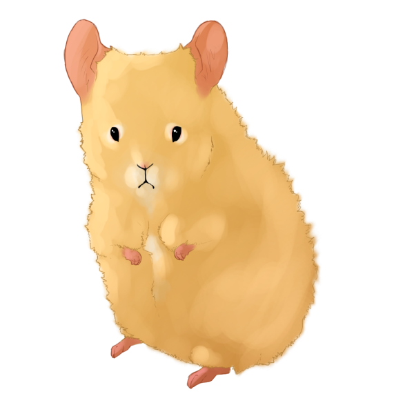 Хомяк для детей