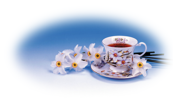 Пожелания доброго утра на прозрачном фоне