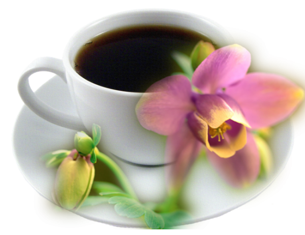 Прекрасного дня на прозрачном фоне