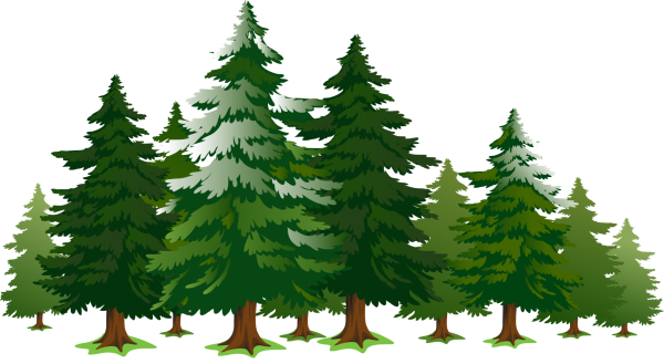 Большие и маленькие ели