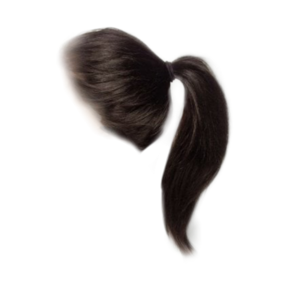 Хвостик из волос без фона