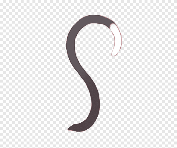 Хвостик для фотошопа