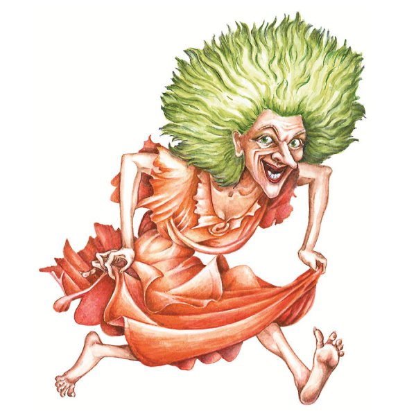 Кикимора сказочный персонаж