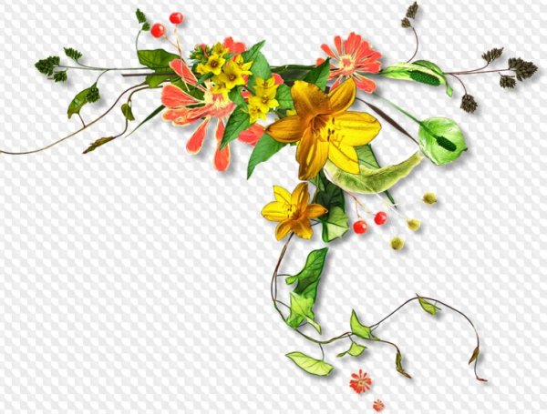 Цветы угловые