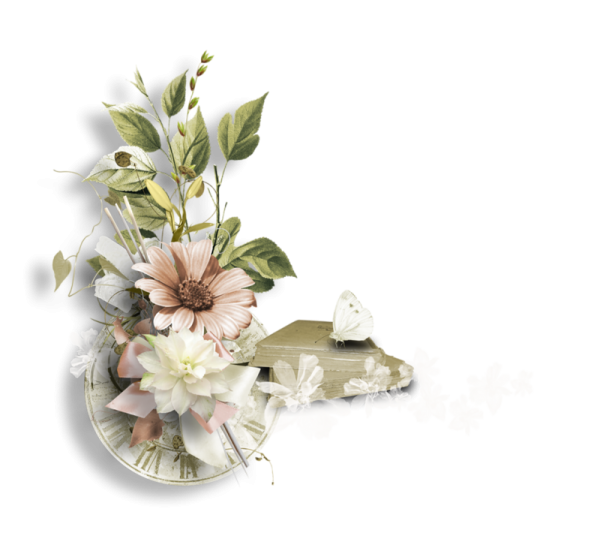 Цветы на прозрачной подложке