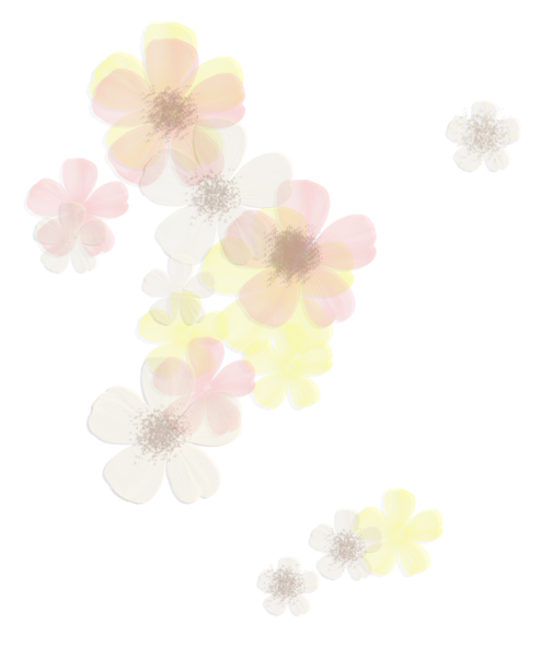 Нежная веточка на прозрачном фоне