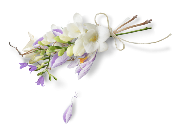 Цветочные кластеры на прозрачном фоне