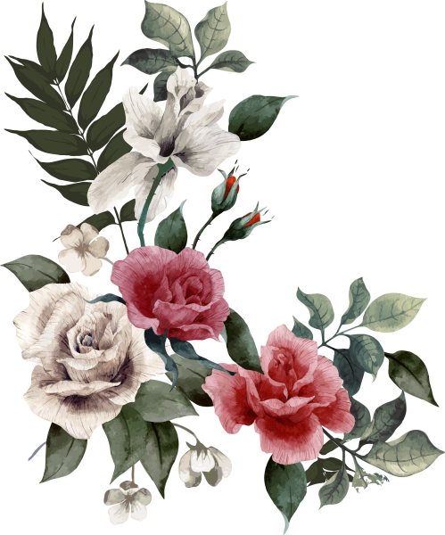 Ветка розы на прозрачном фоне