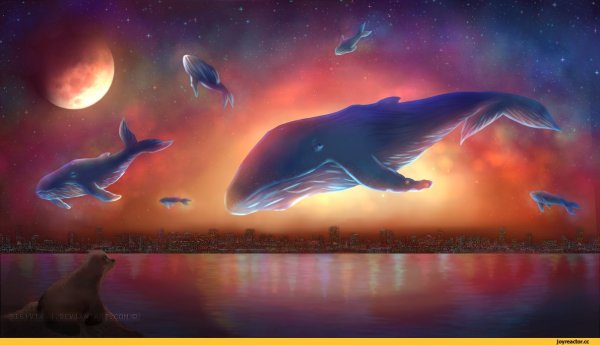 Летающий кит