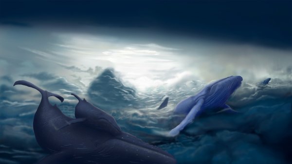 Киты в небе