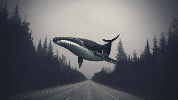 Небесный кит Геншин