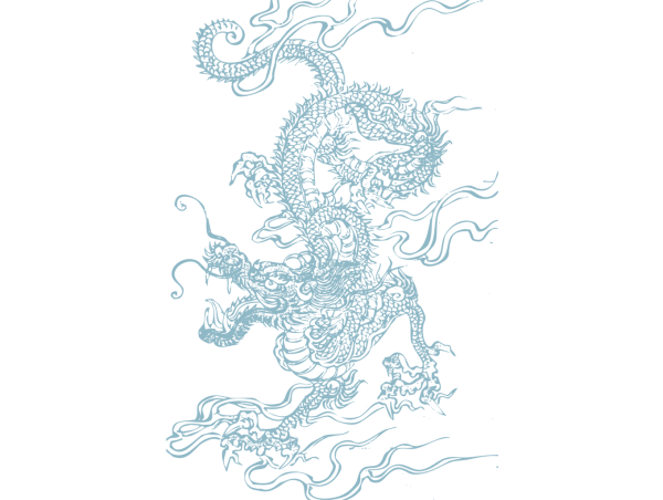 Принт дракона без фона