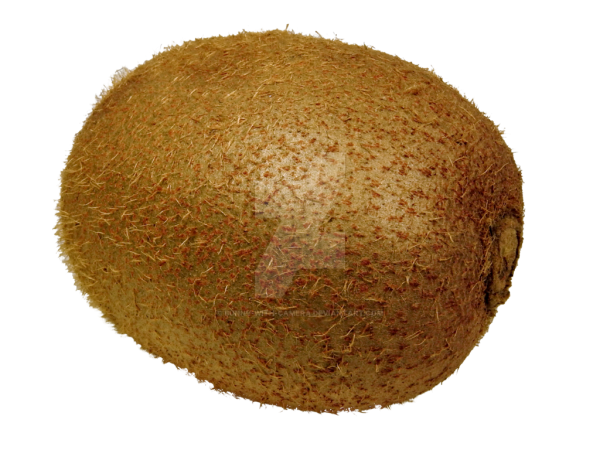 Киви для фотошопа