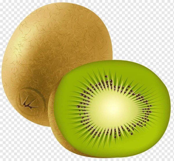 Киви вектор