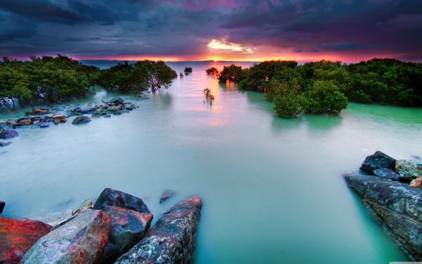 Экран Lumien LCH-100107