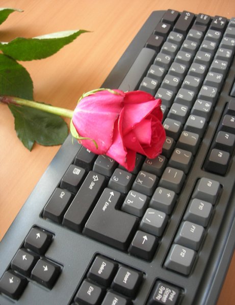 Роза на клавиатуре компьютера