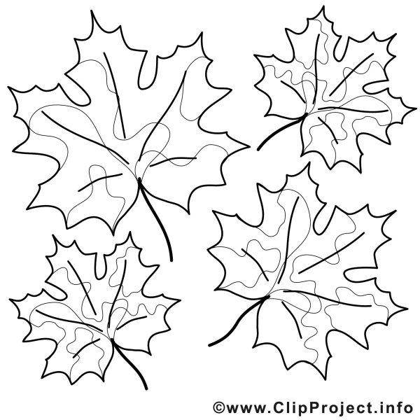 Трафареты кленовых листьев