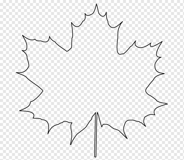 Кленовый лист контур