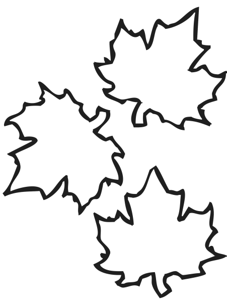 Кленовый лист контур