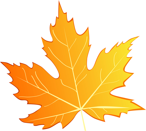 Кленовые листочки