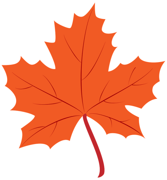 Кленовые листья для вырезания цветные