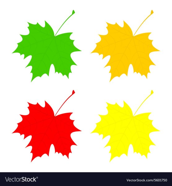 Листочки красные желтые и зеленые