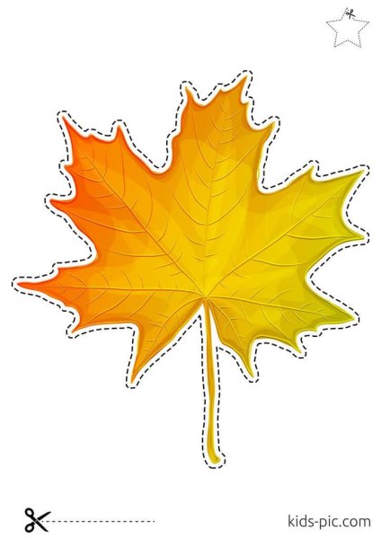 Кленовые листочки